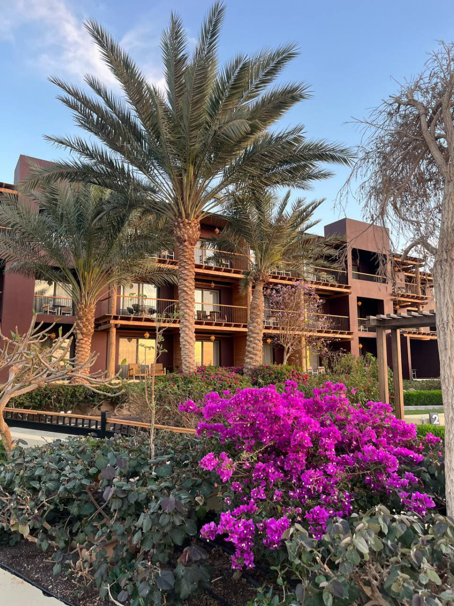 MOVENPICK TALA BAY 5🌟